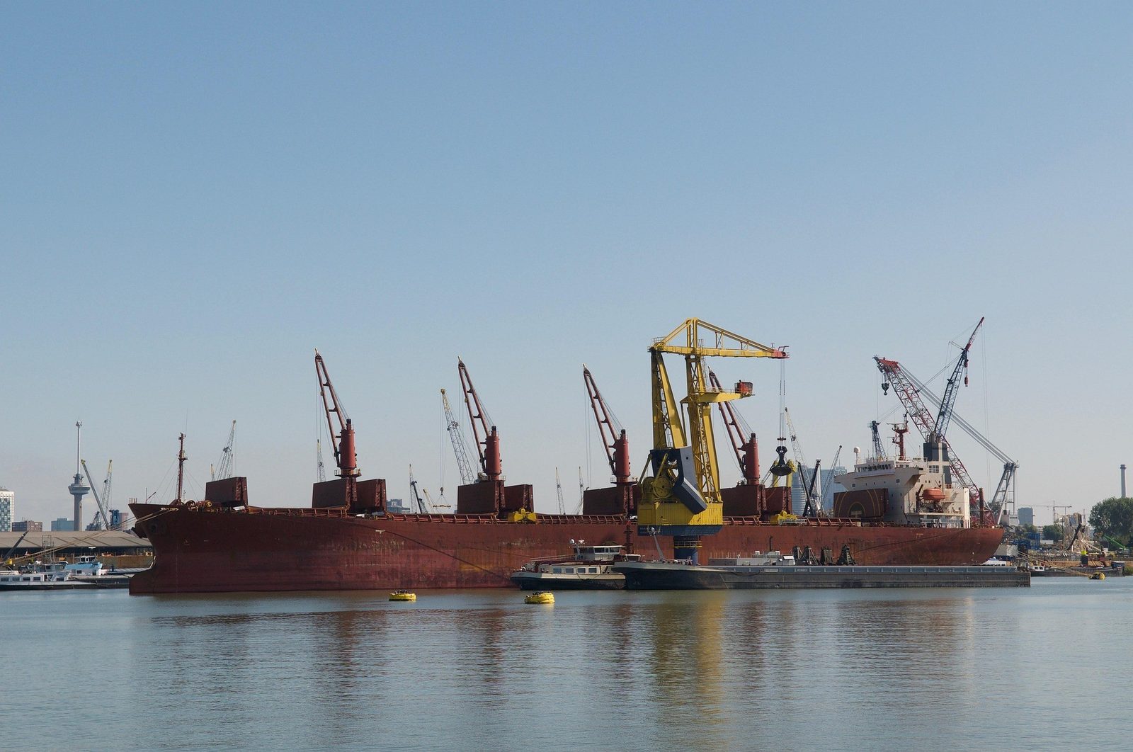 Bulk carrier and cranes in the Port of Rotterdam